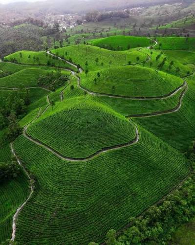 Munnar, Thekkady, waterfalls, viewpoints and plantation highlands