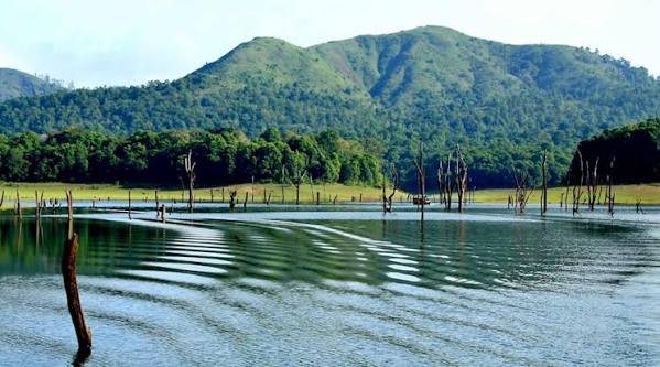 Fort Kochi, Munnar, Periyar and Kumarakom nature heritage route
