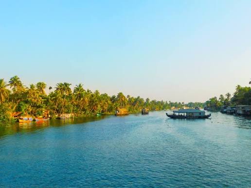 Kumarakom Vembanad lake and birds