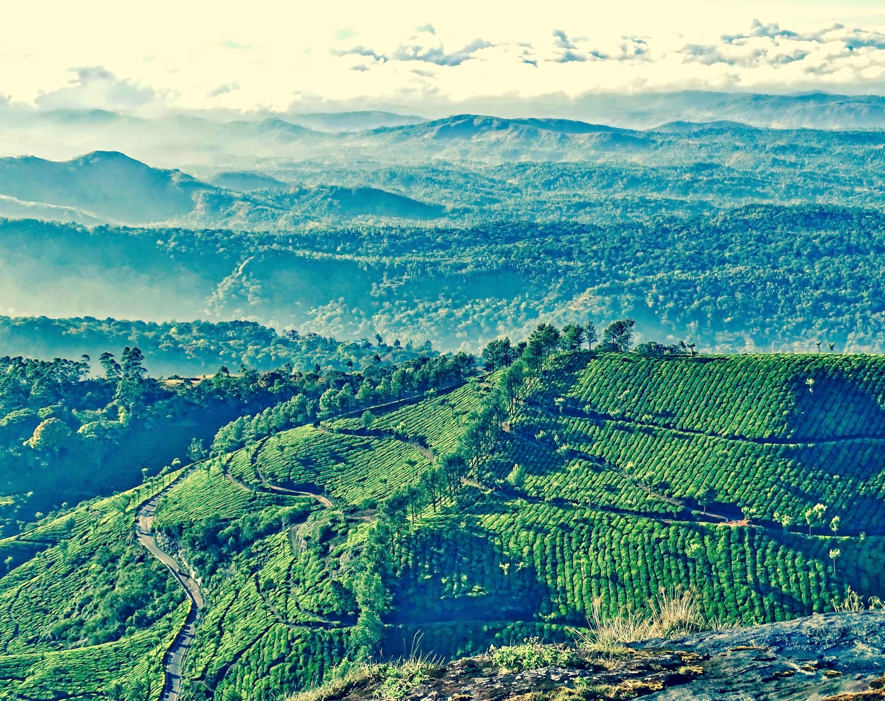 Munnar tea hills glowing through morning mist